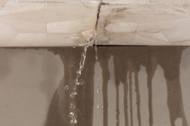 Professional Flood Damage Cleanup technician working in Minot, ND